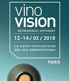 Salon Vinovision